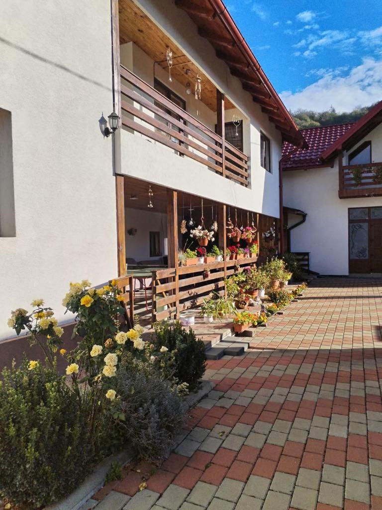 Hotel Casa Irina à Mînăstirea Humorului Extérieur photo